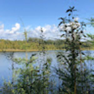 Meet your Posher, Seth